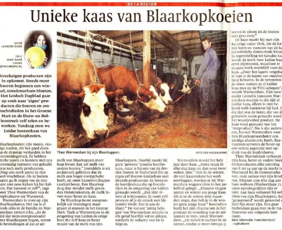 Unieke-kaas-van-blaarkopkoeien